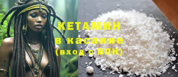 крисы Абаза