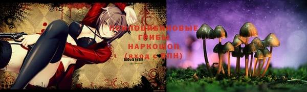 амфетамин Алексеевка